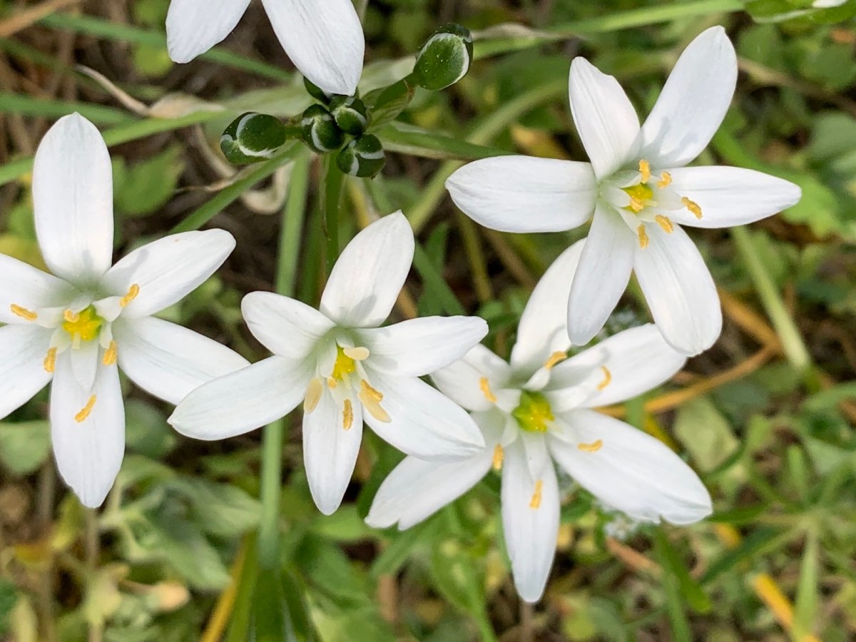 Impressionen im April